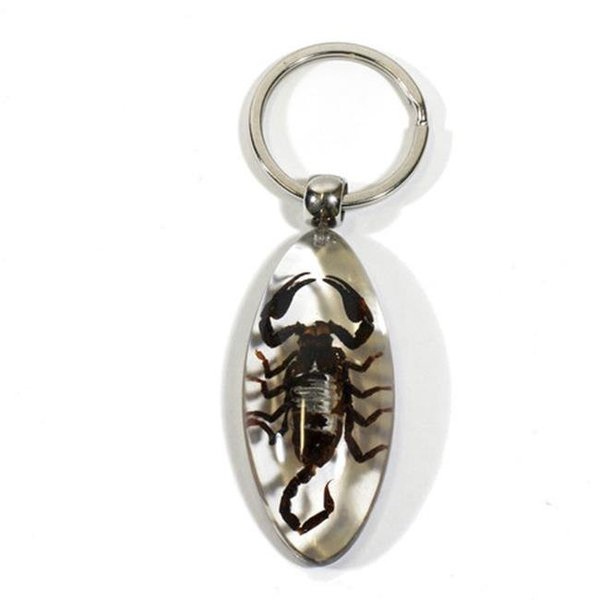 Ed Speldy East Ed Speldy East Company SK803 Real Bug Black Scorpion Key Chain - Clear; Oval SK803
